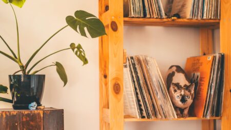 A Creative Approach to Wall Shelving